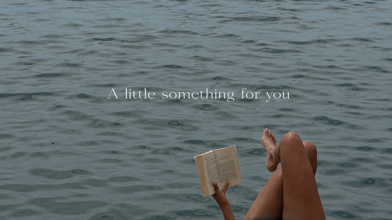 LESIS | 