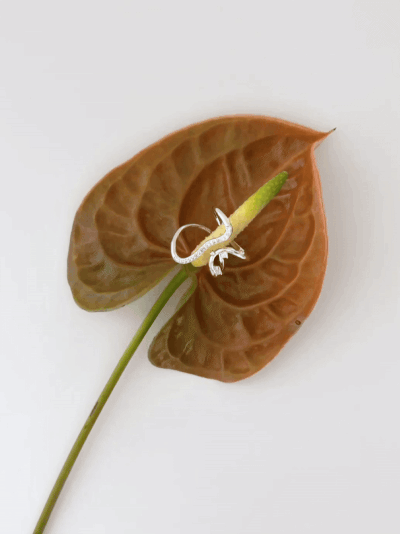 12191-ezgif.com-resize