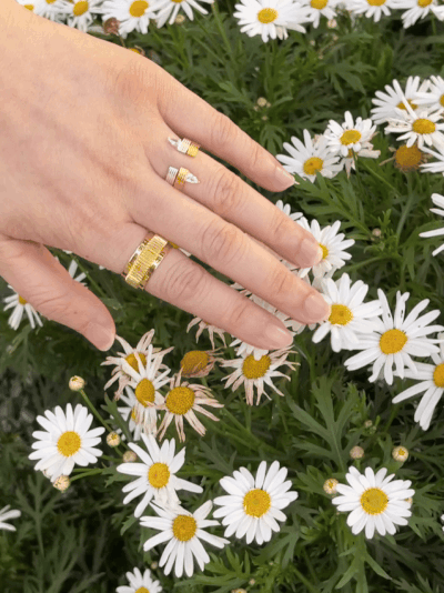 0207-ezgif.com-resize