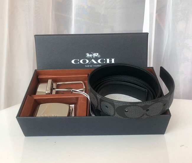 coach reversible belt