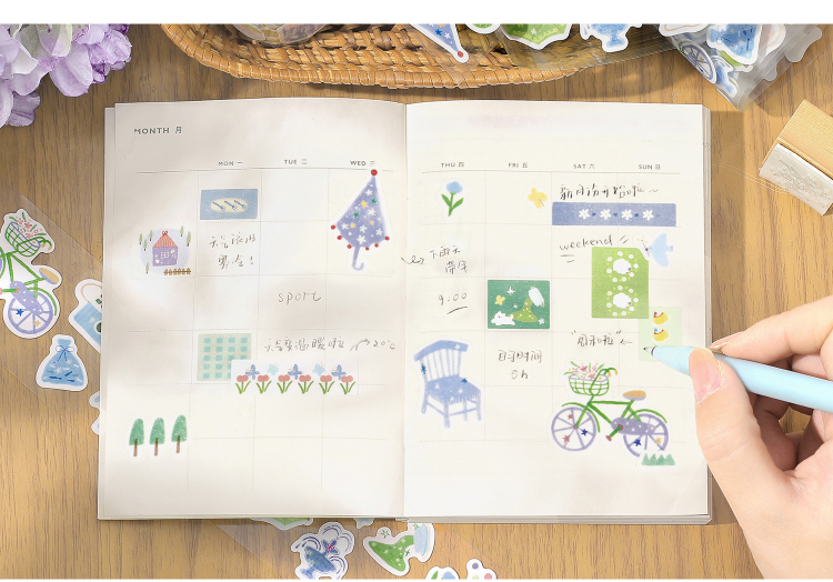 special-material-masking-tape-little-spring-song-06