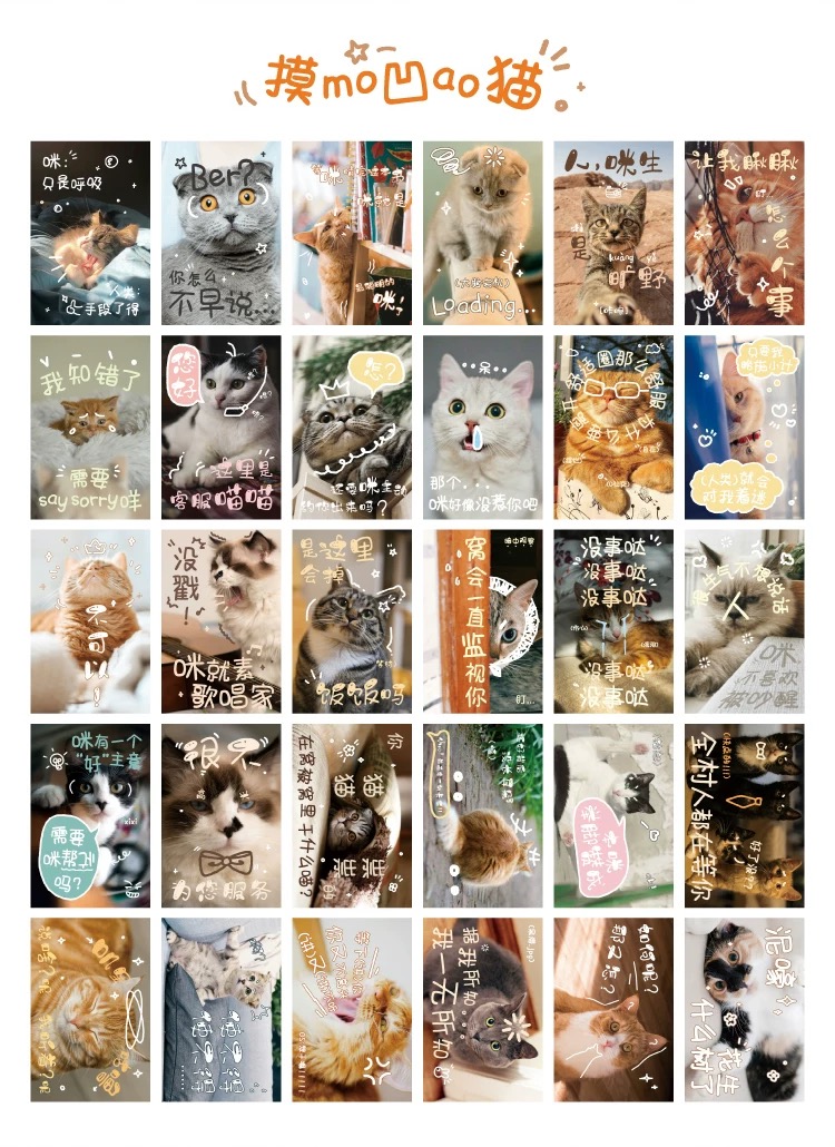 圖片_20251028143251_58_109