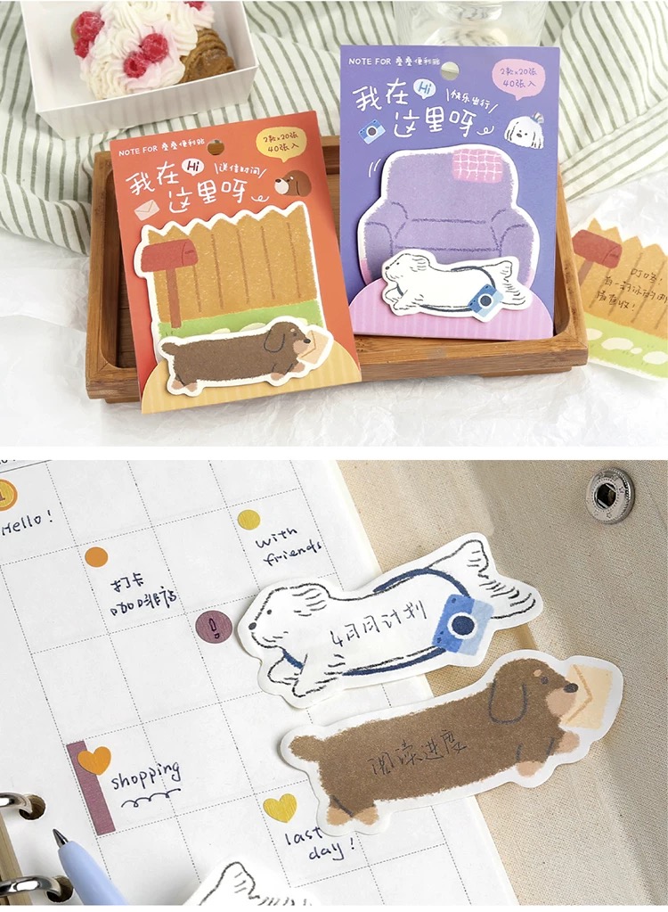 圖片_20260114140558_30_6