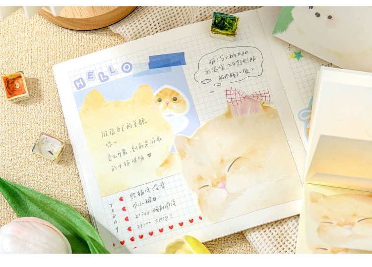 圖片_20260114160518_53_6