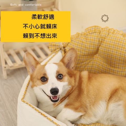 O1CN01Q5cp6x20wfAz5QssV