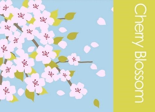 櫻花一.jpg