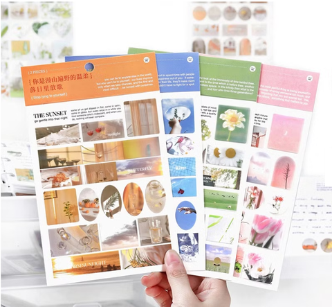 螢幕擷取畫面 2025-07-24 140055