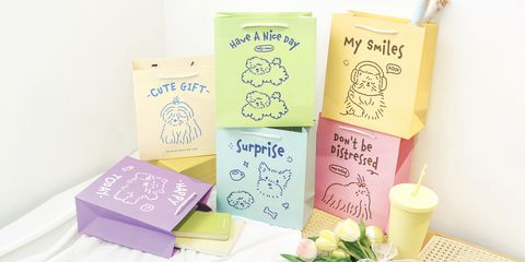 gift-bags-cute-pet-dairy-hd
