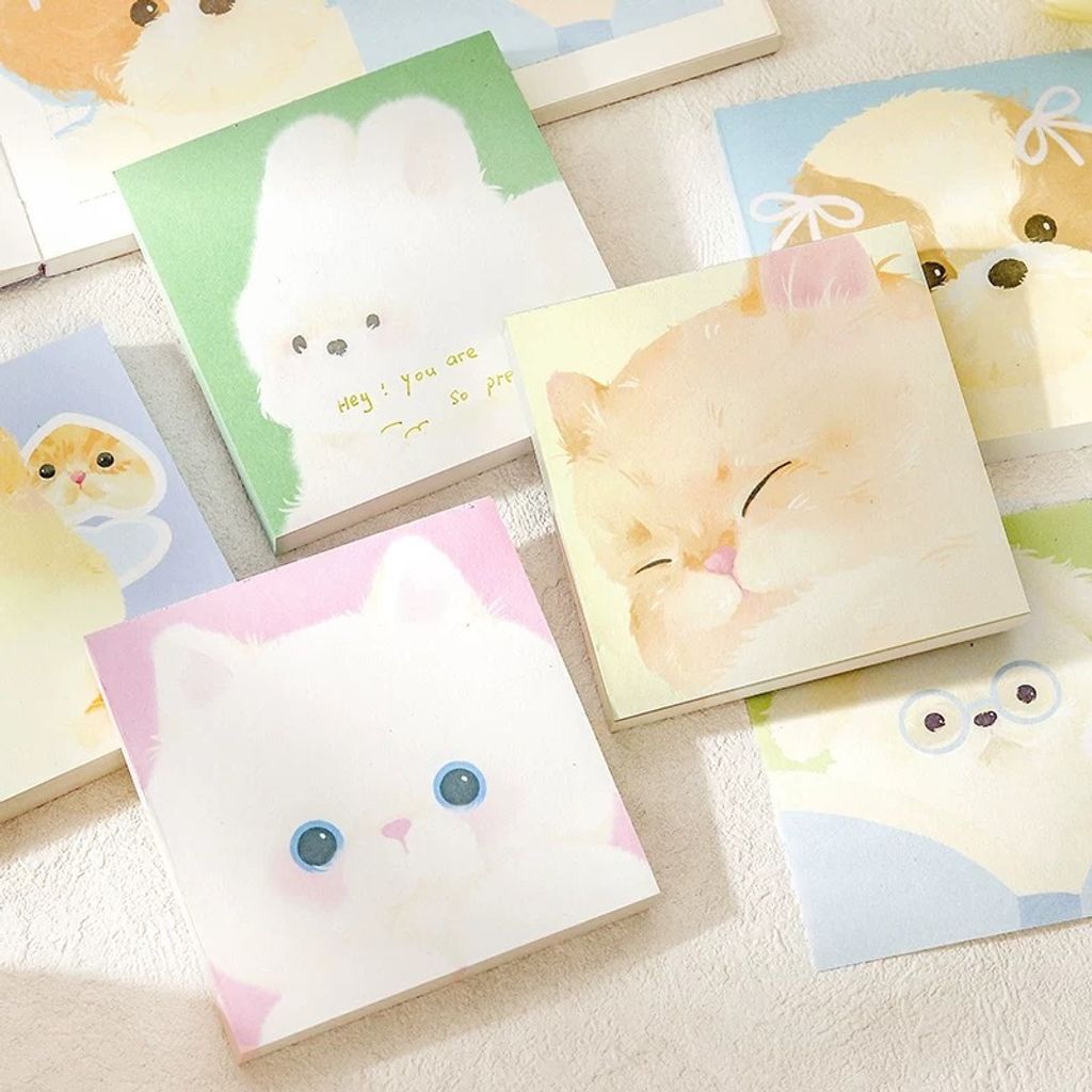 圖片_20260114160525_58_6