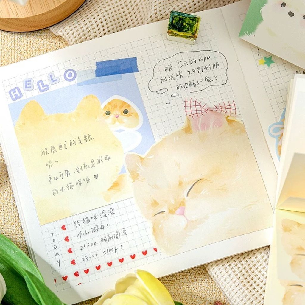 圖片_20260114160511_47_6