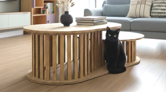 Furr-niture | Flatpak.my