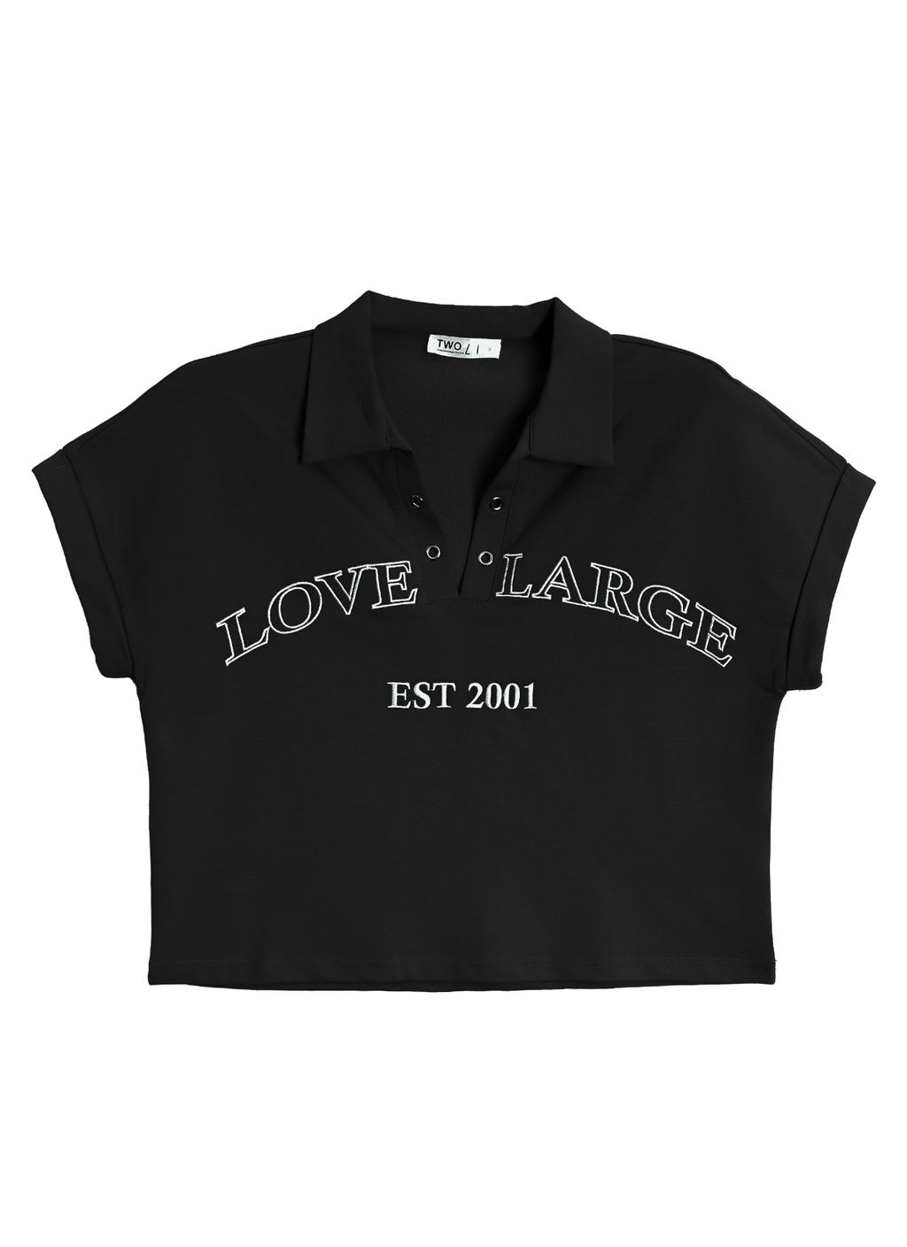 Plus Size Trendy V-Neck Collar Top