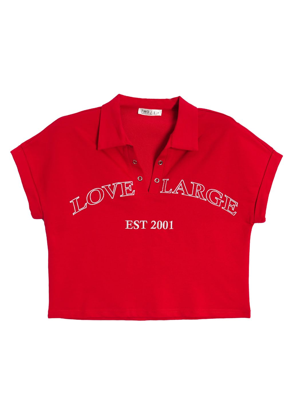 Plus Size Trendy V-Neck Collar Top