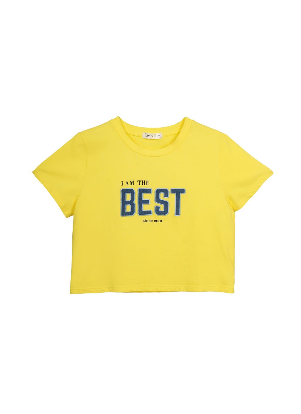 Plus Size Trendy Embroidered Patch Top