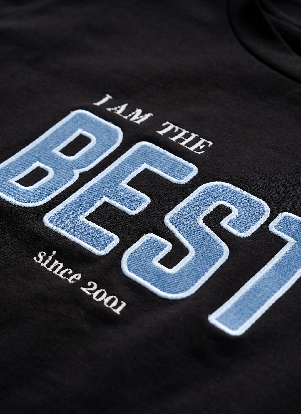 Plus Size Trendy Embroidered Patch Top