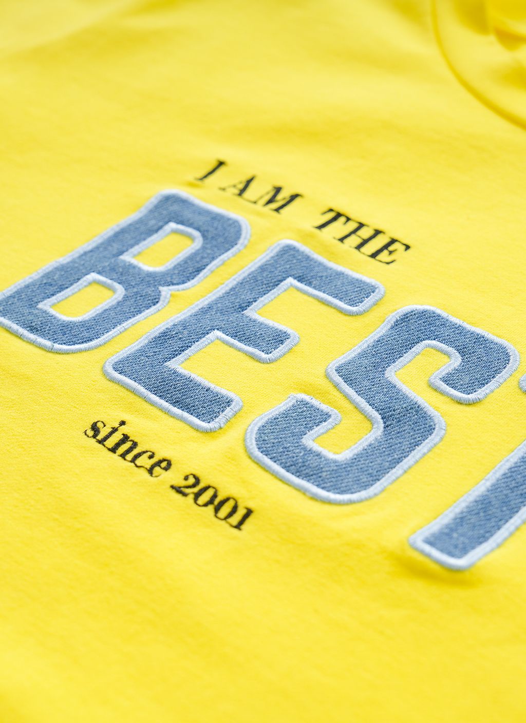 Plus Size Trendy Embroidered Patch Top