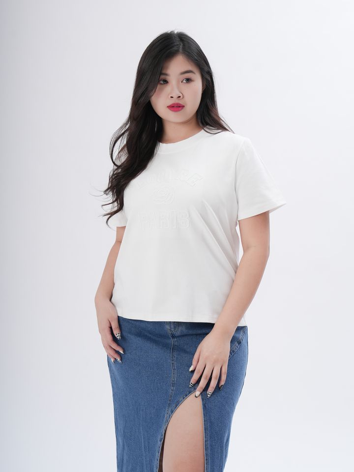 Casual plus-size T-shirt featuring subtle embroidery and a soft neutral tone.
