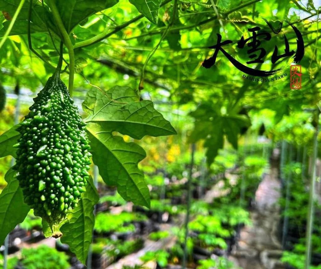 481206900_659969983218342_3622704118241486338_n