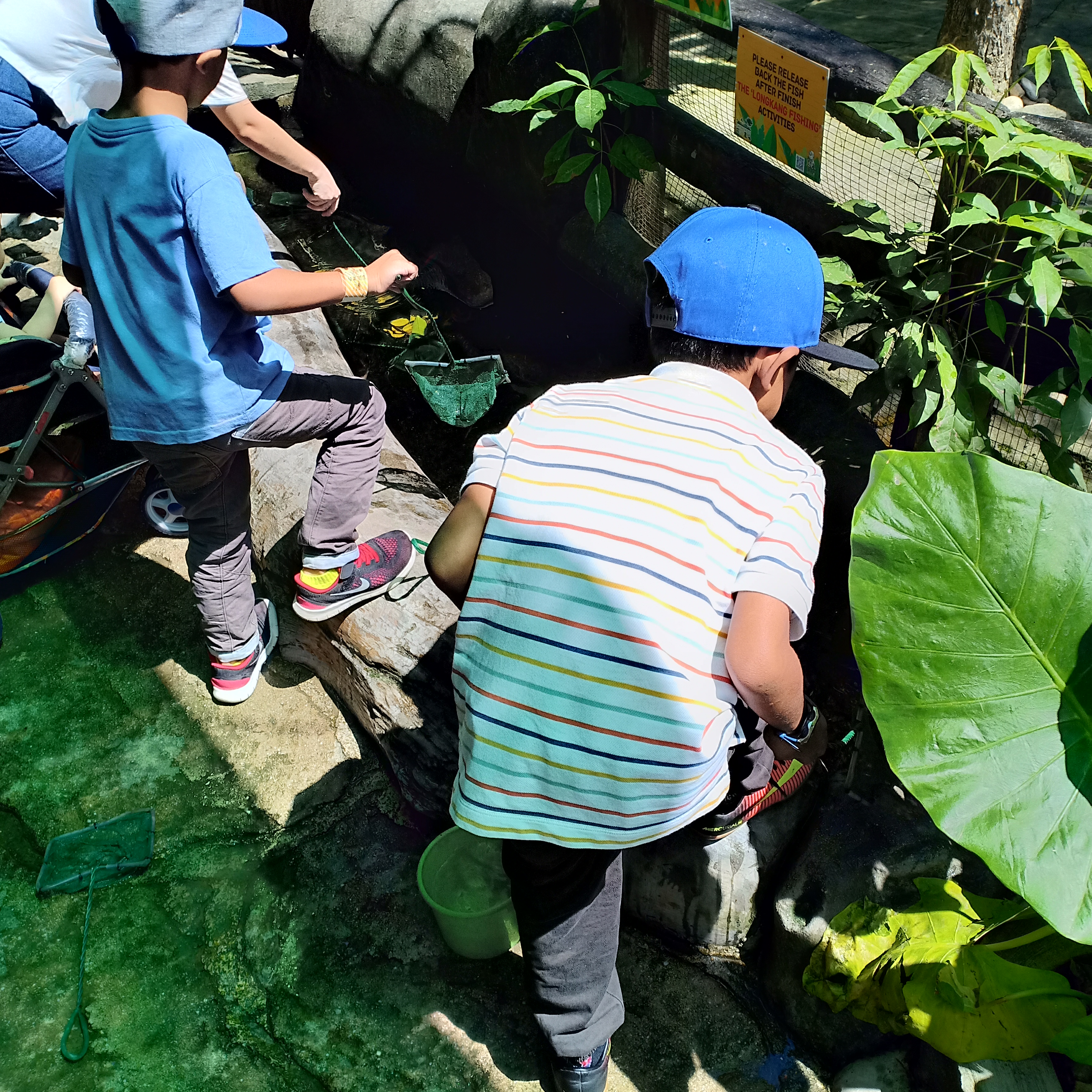 Muhsin Kids at Farm in the City Longkang Fish
