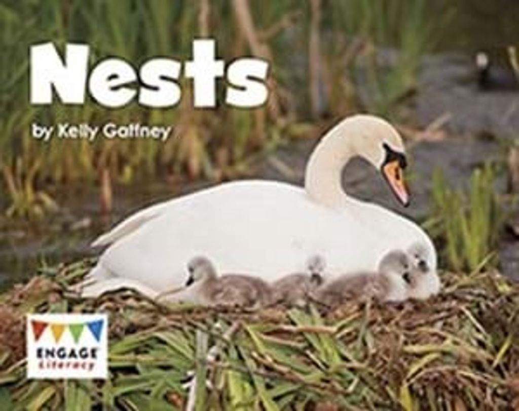 nests