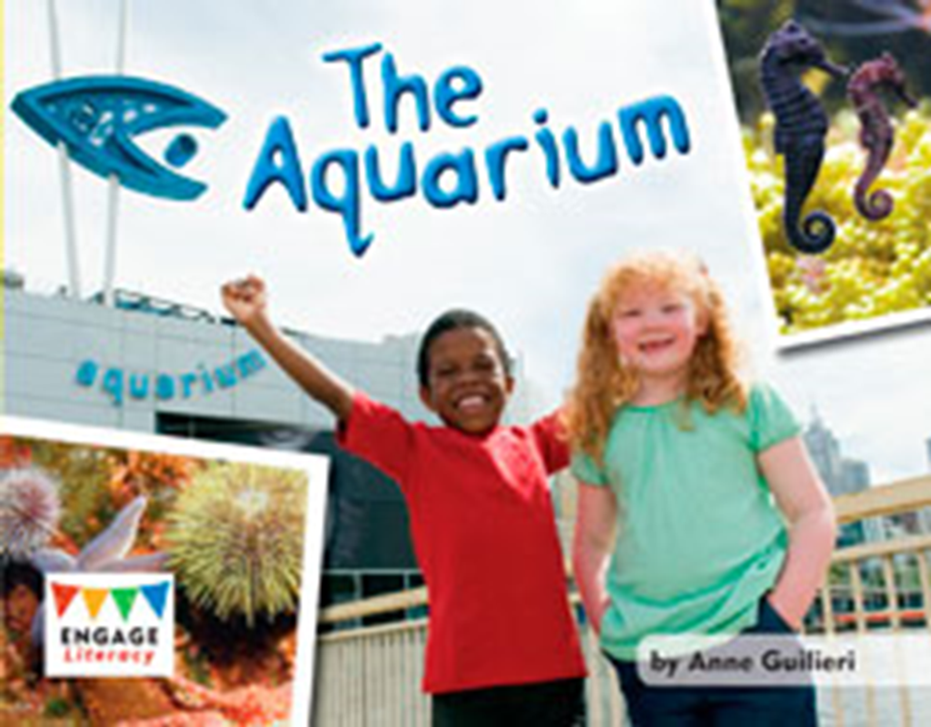 the aquarium