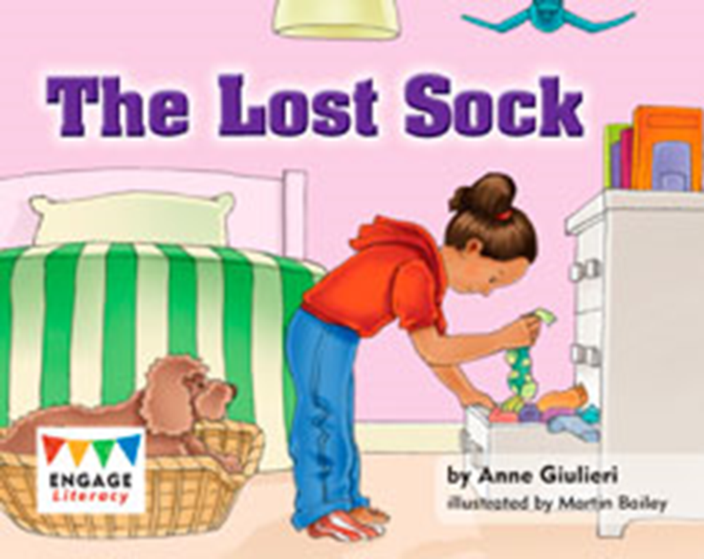 the lost sock