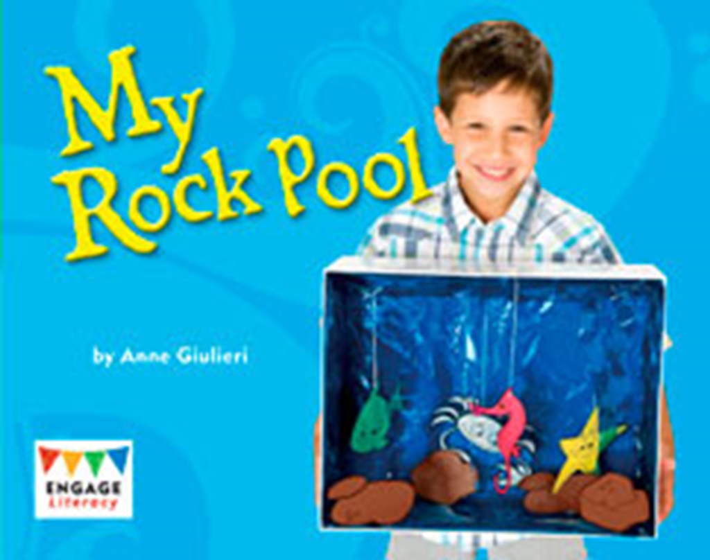 my rock pool