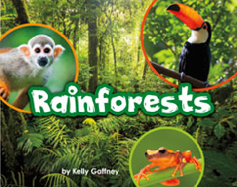 rain forests