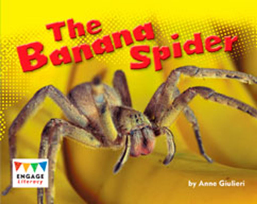 the banana spider