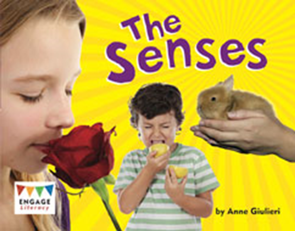 the senses