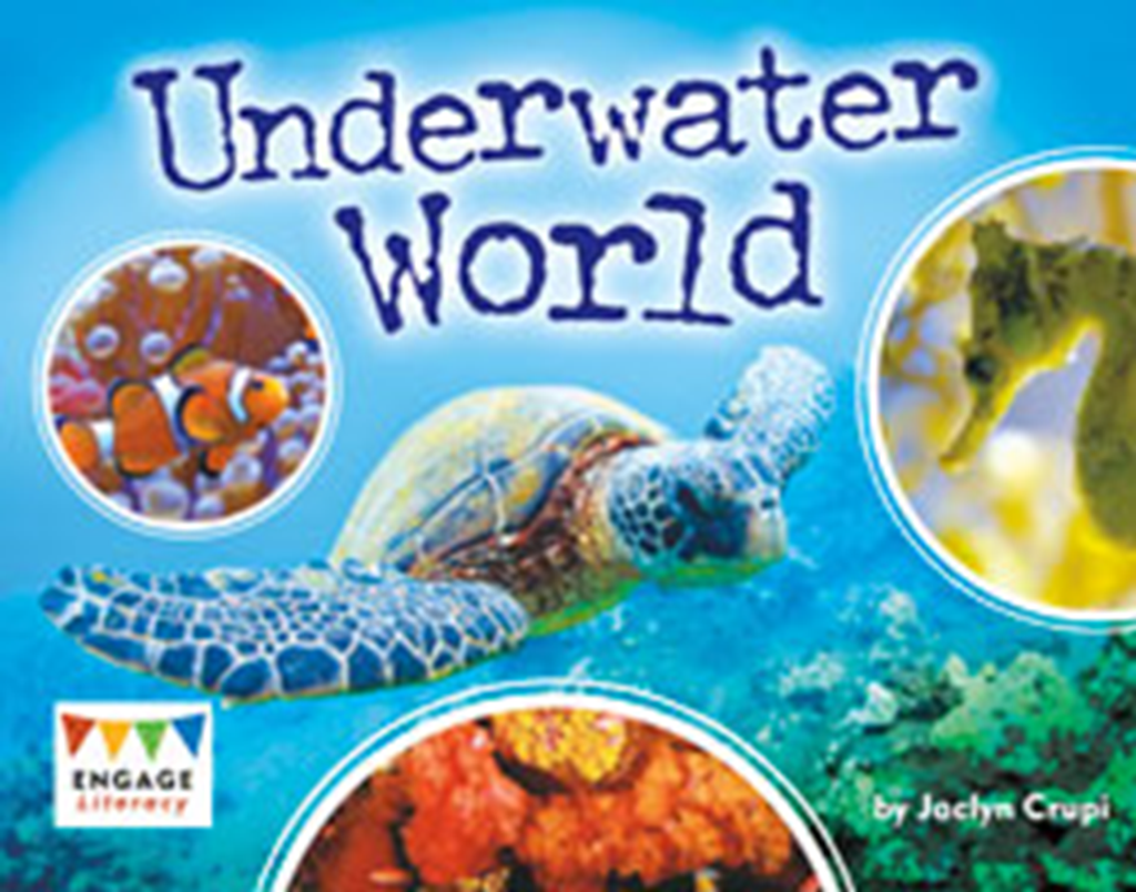 underwater world