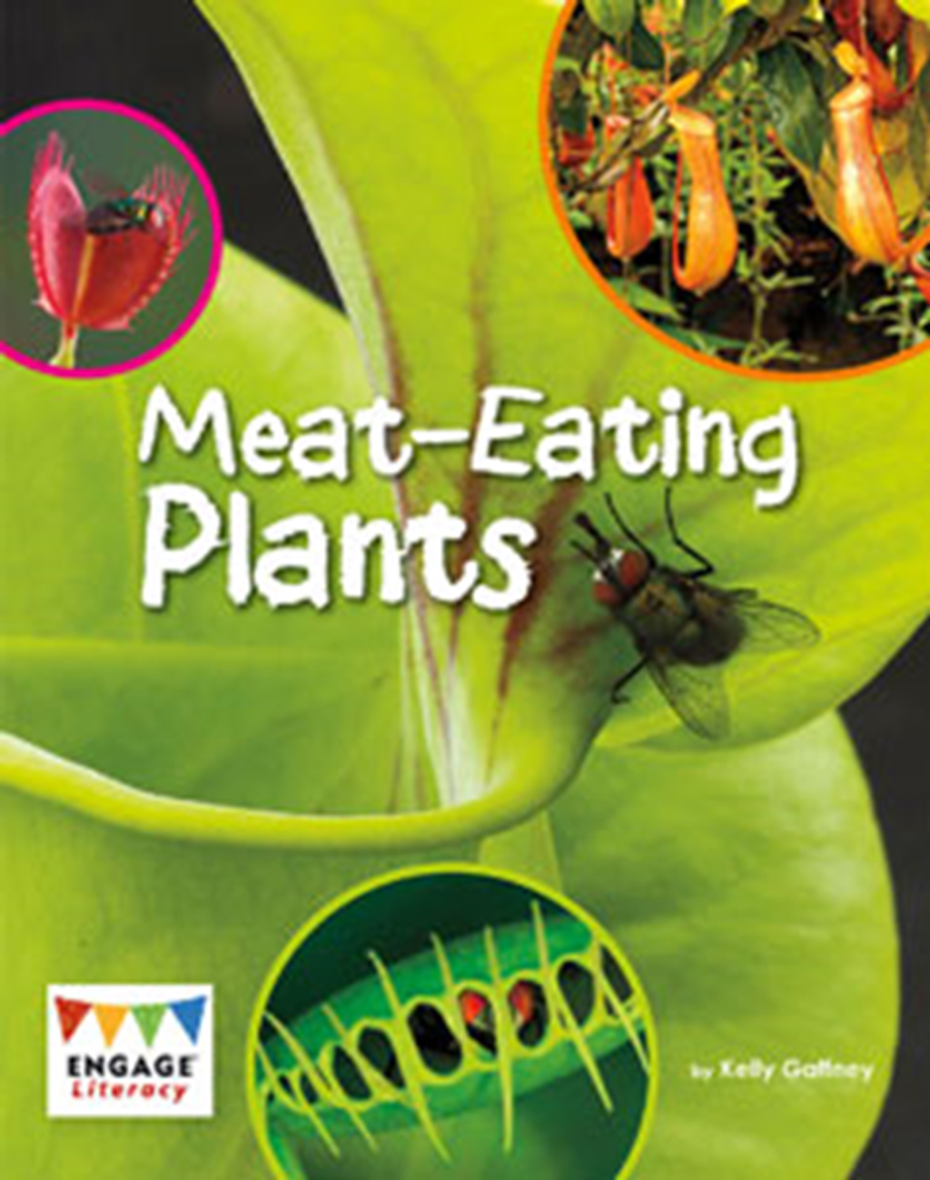 meat eating plants