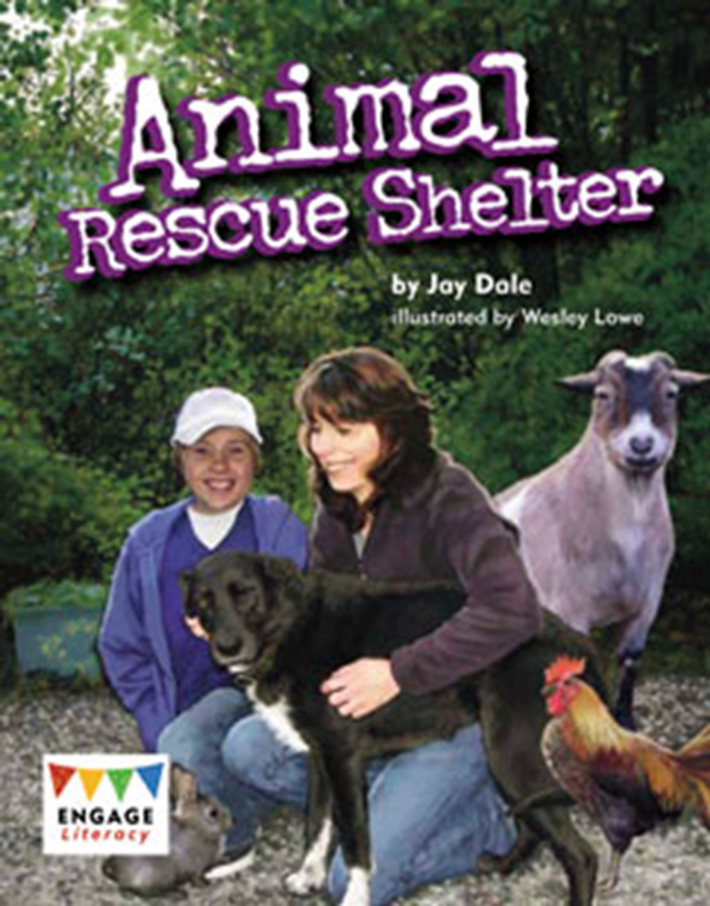 animal rescue shelter