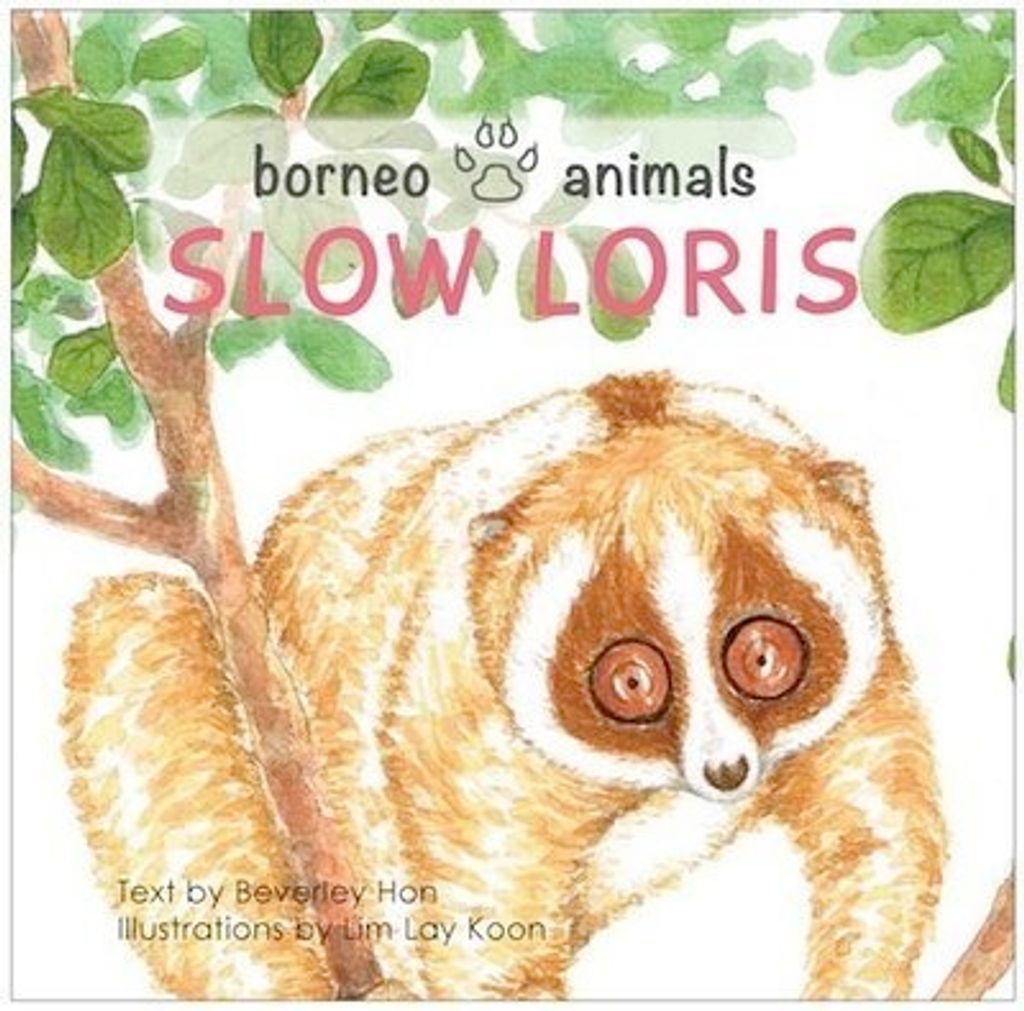 Slow Loris 1.jpg