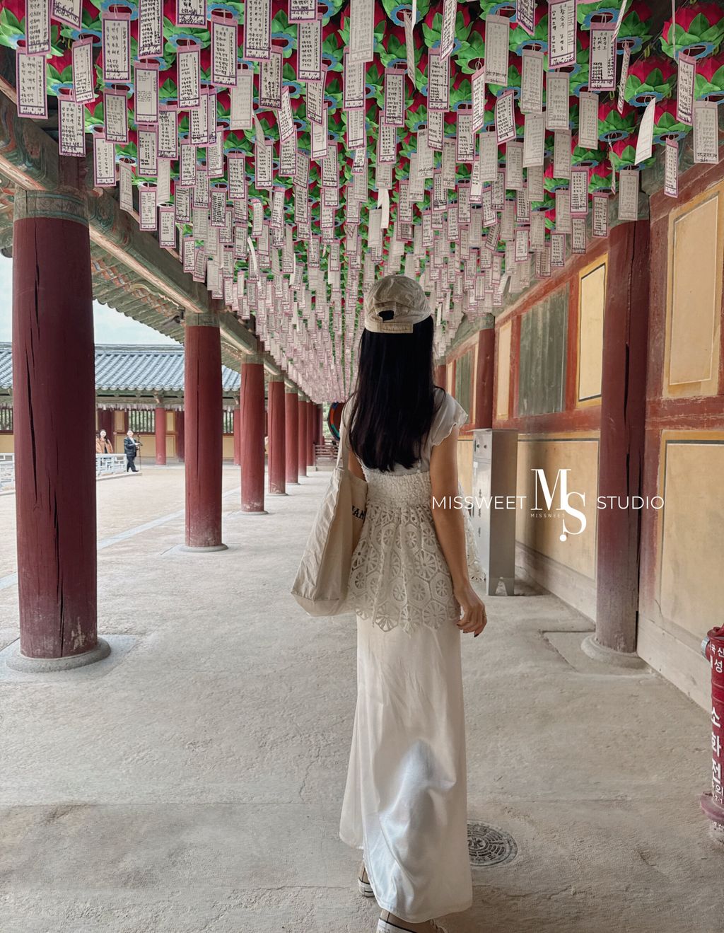 相片 2026-3-5 晚上8 28 01