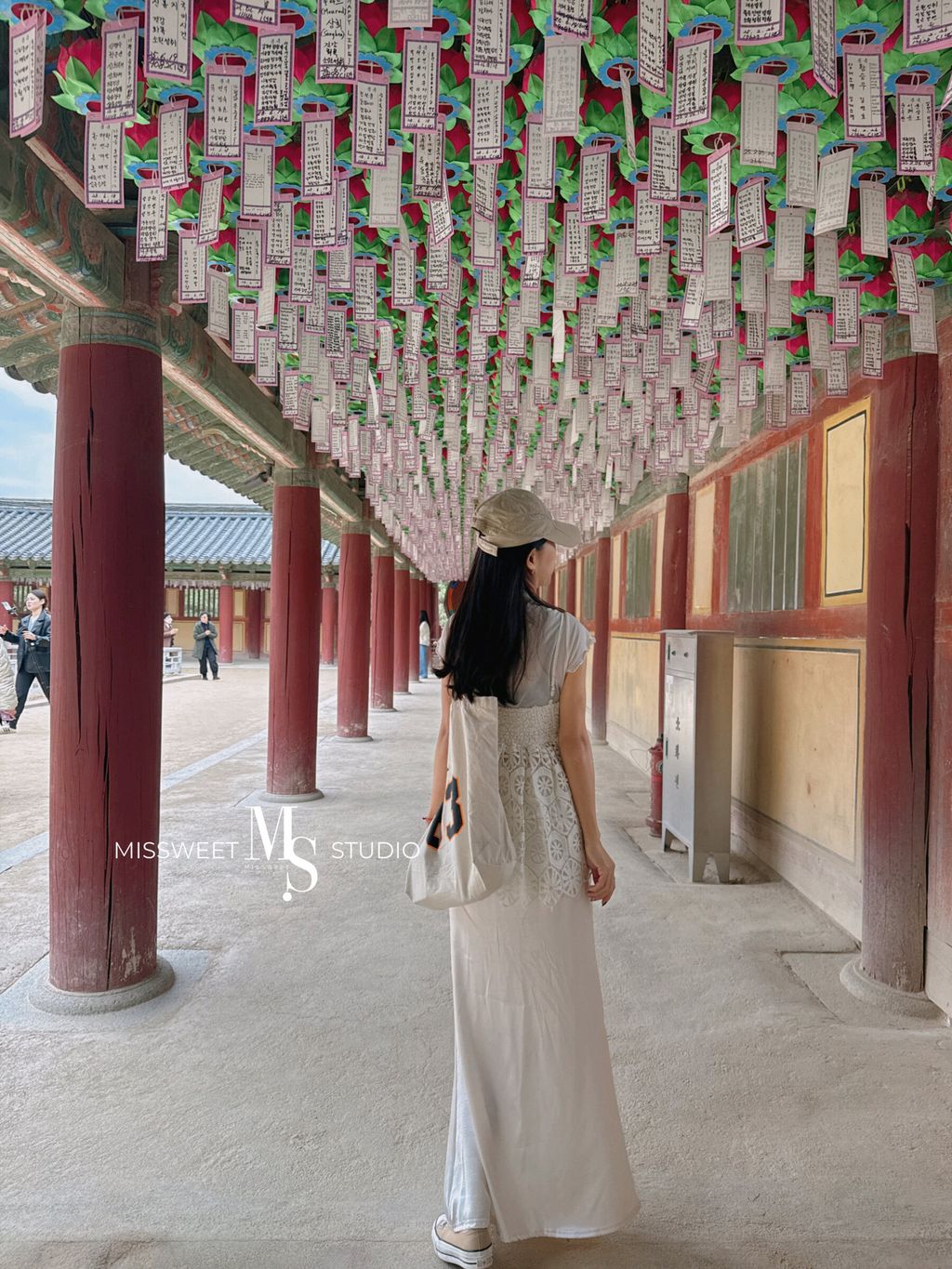 相片 2026-3-5 晚上8 35 51