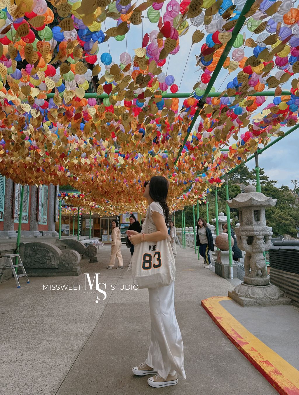 相片 2026-3-5 晚上8 23 10