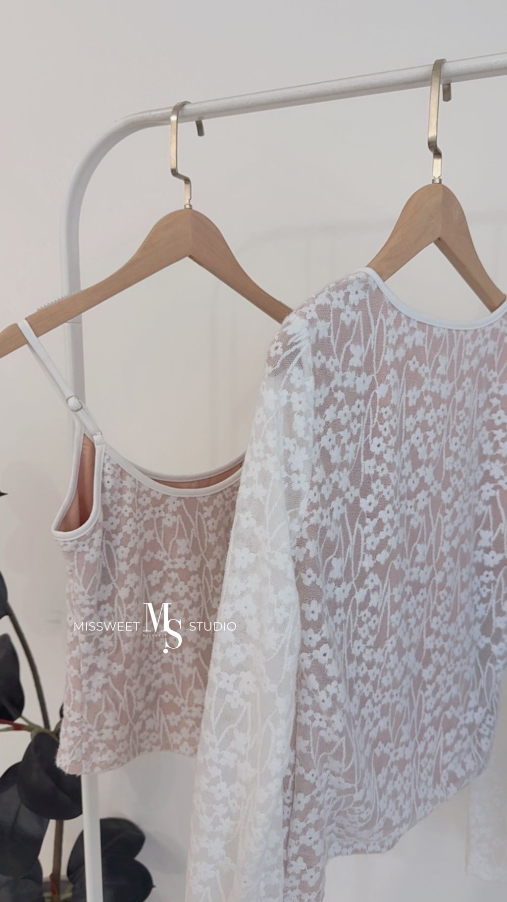 相片 2026-3-5 下午2 23 38