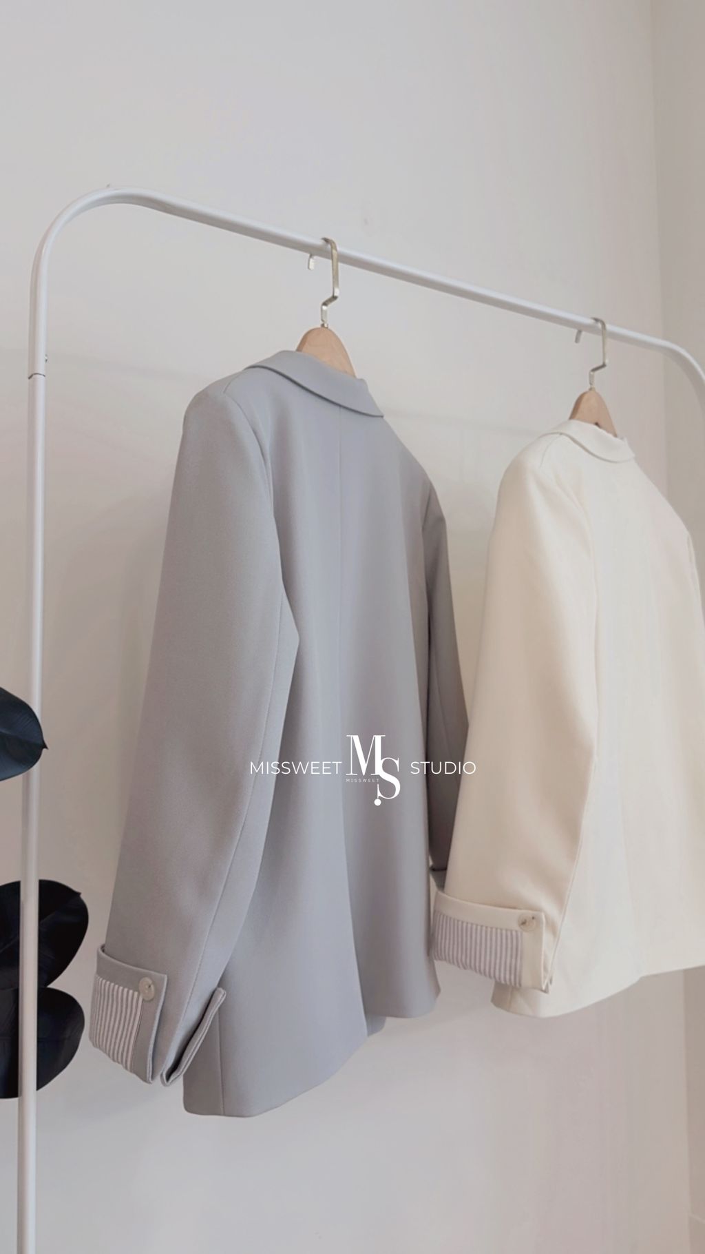 相片 2026-3-6 下午4 43 49 (5)