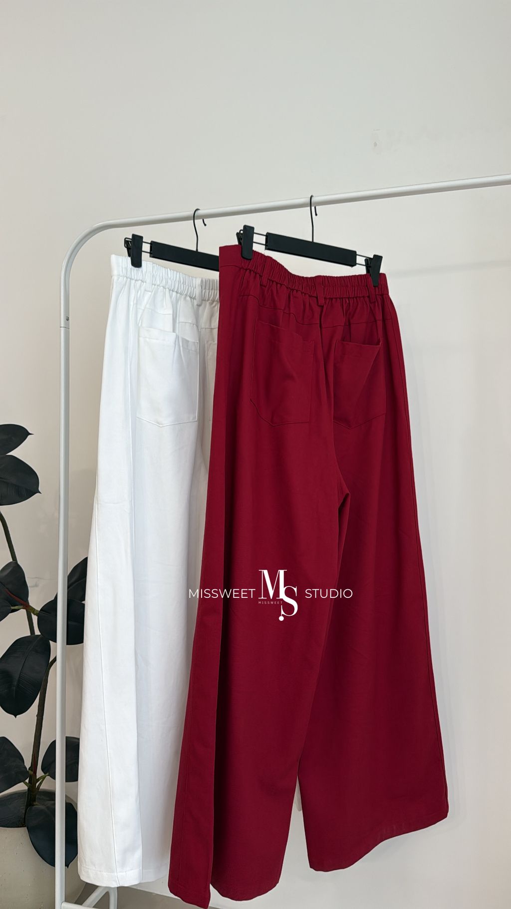 相片 2026-3-6 下午4 55 34 (7)