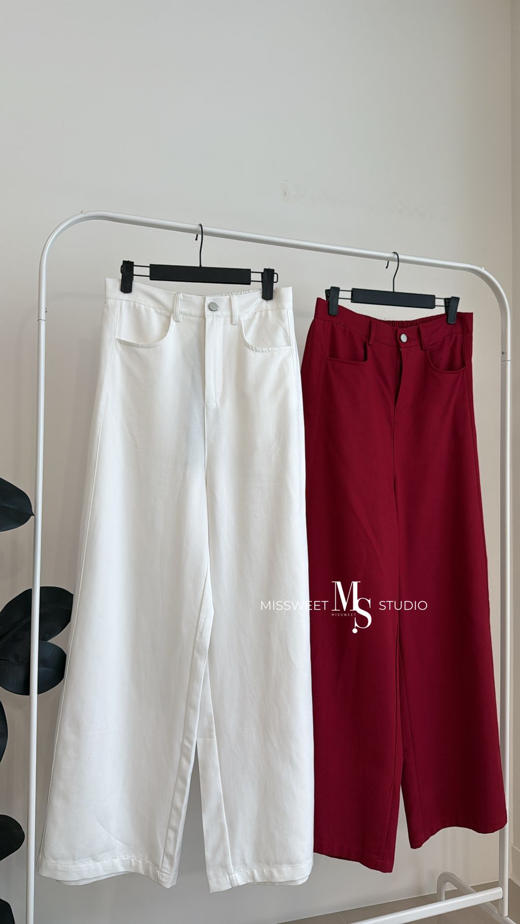 相片 2026-3-6 下午4 55 34 (3)