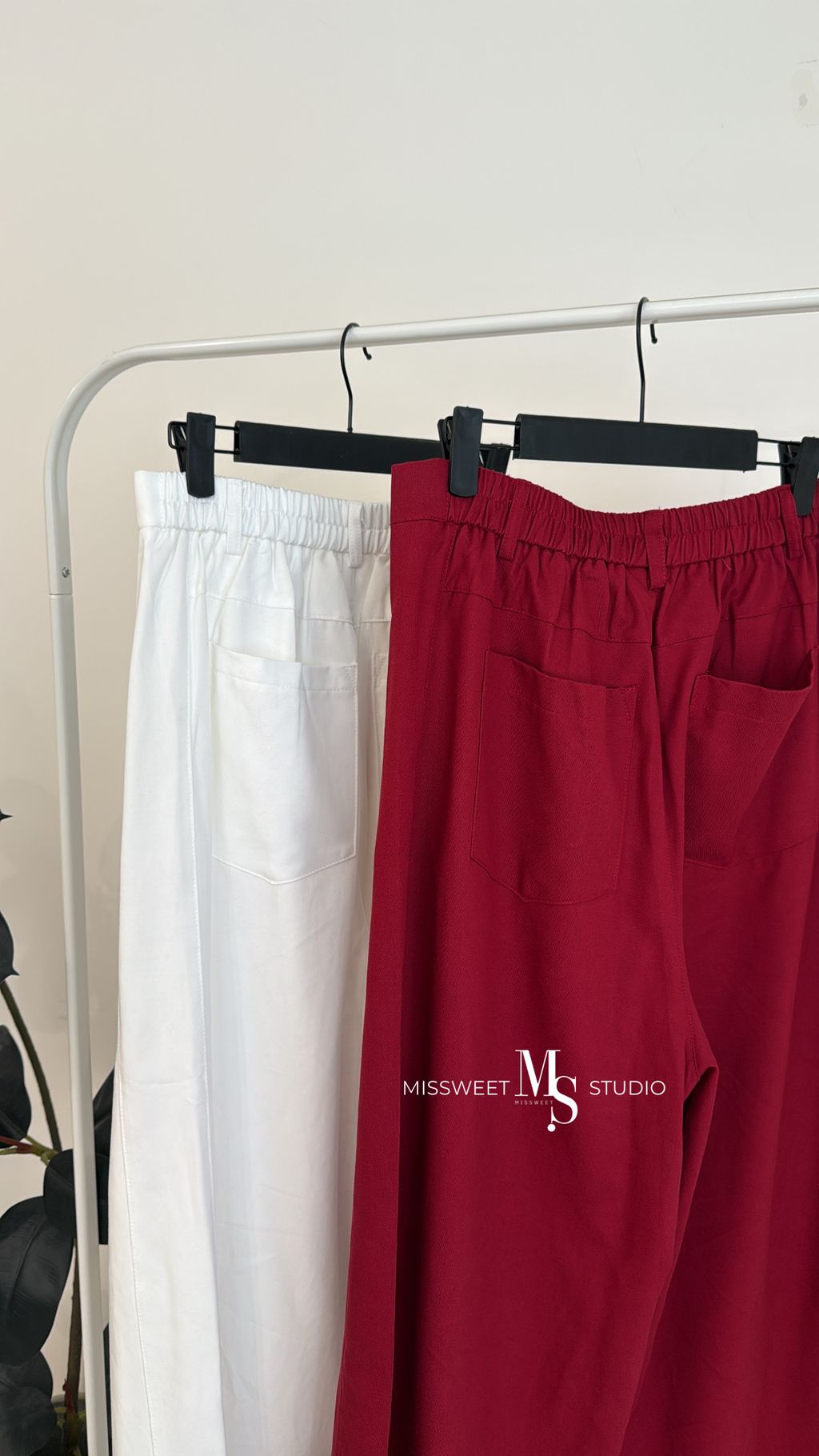 相片 2026-3-6 下午4 55 34 (6)