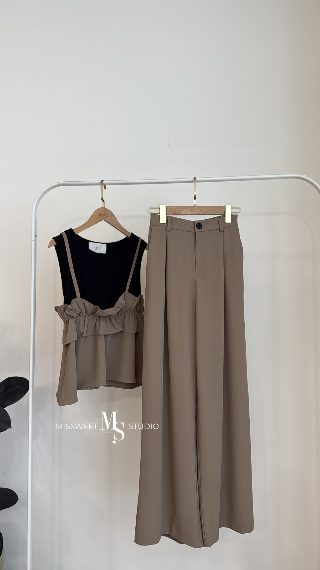 相片 2026-3-7 下午2 54 29