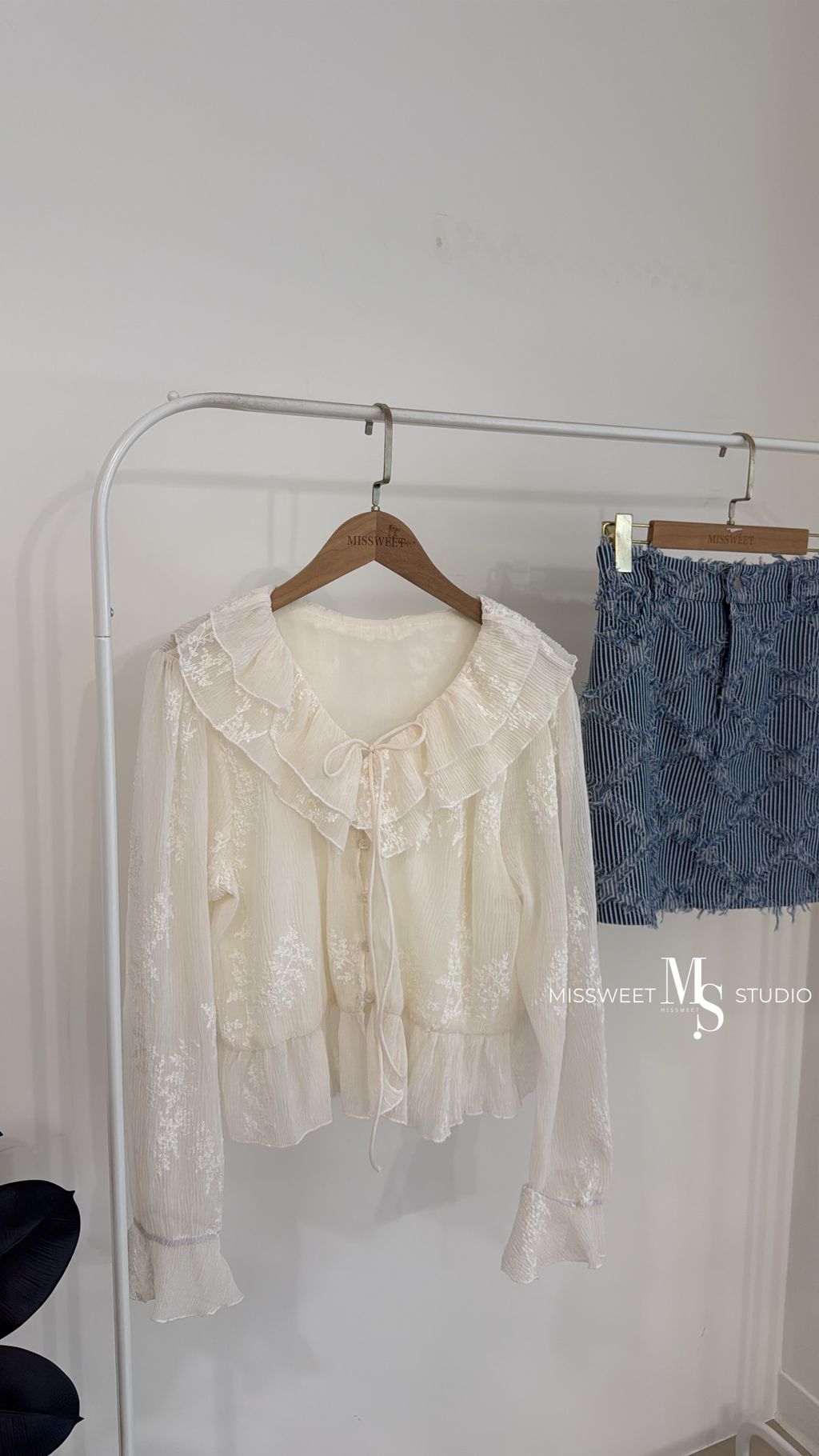 相片 2026-3-10 下午5 24 10