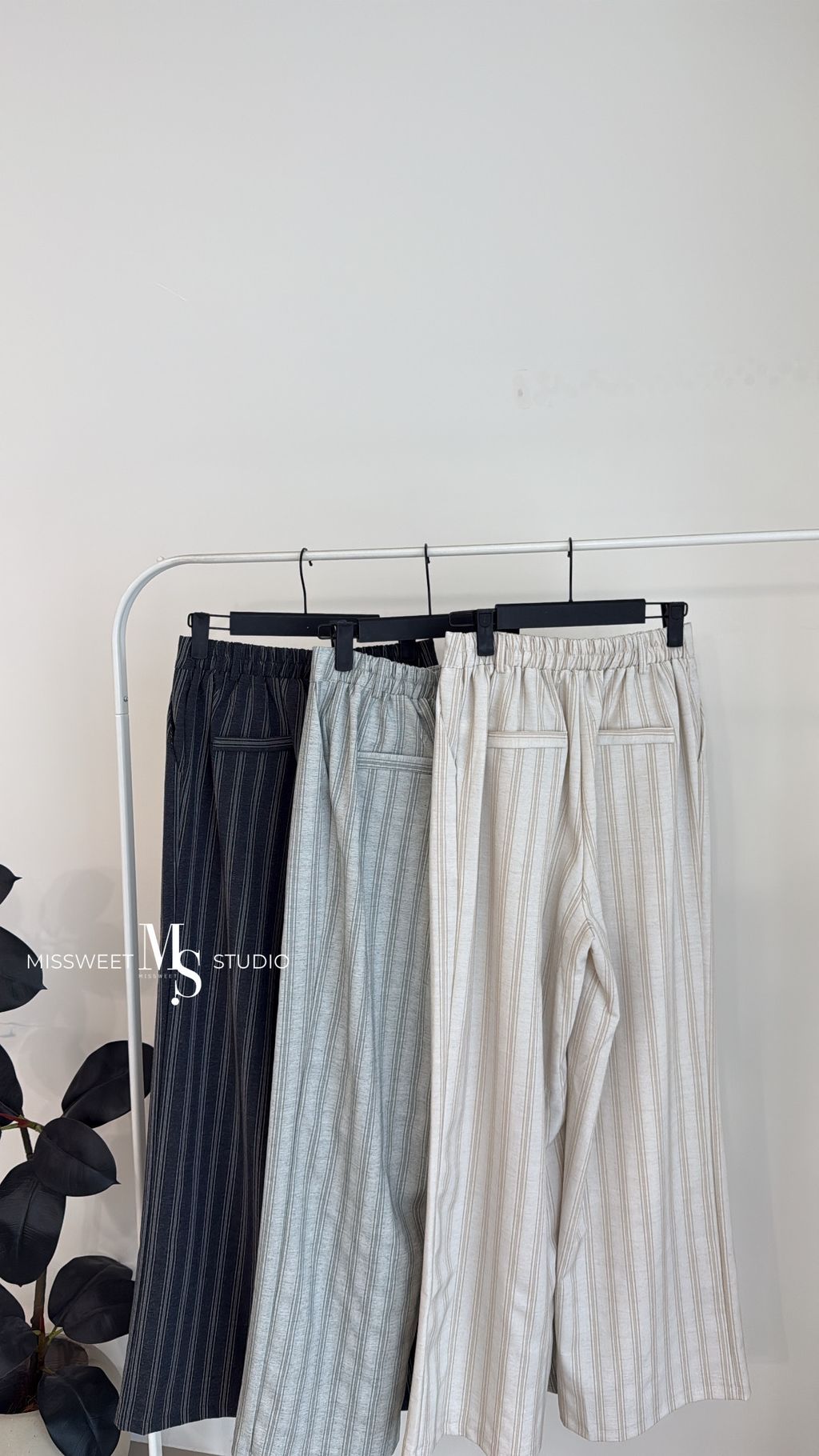 相片 2026-3-5 下午2 16 11