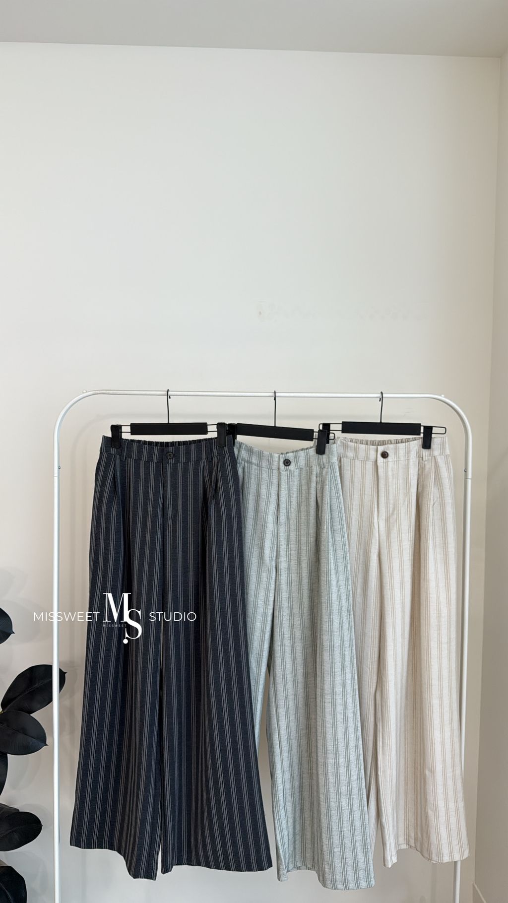 相片 2026-3-5 下午2 06 35