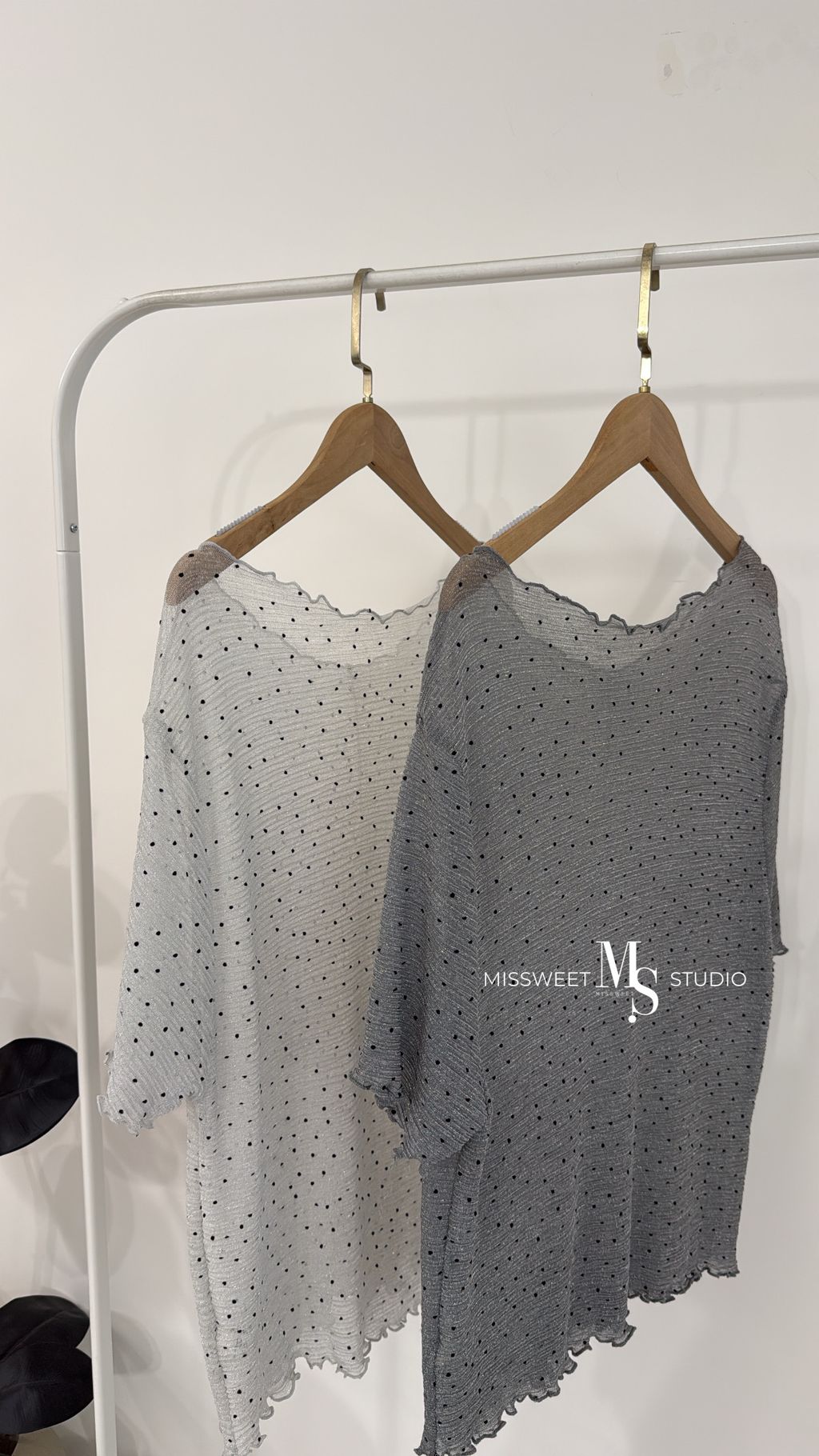 相片 2026-3-10 下午5 32 21