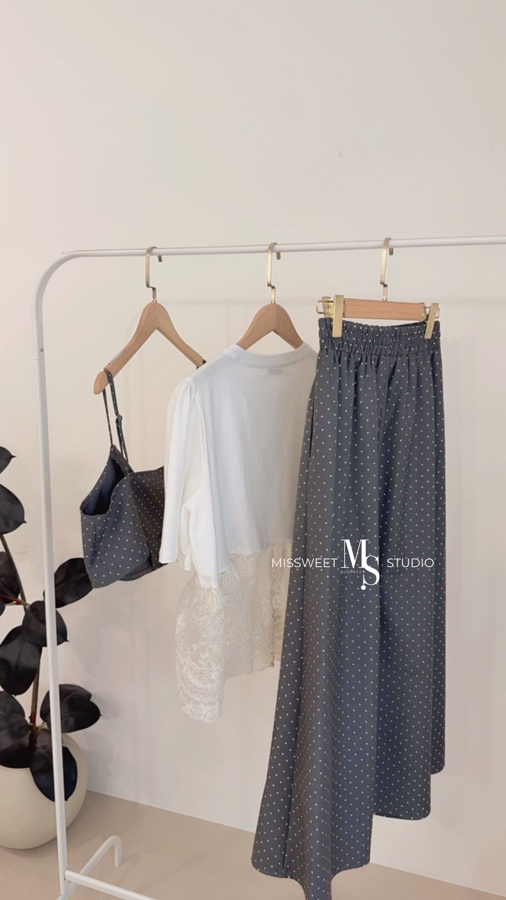 相片 2026-3-11 下午5 18 24