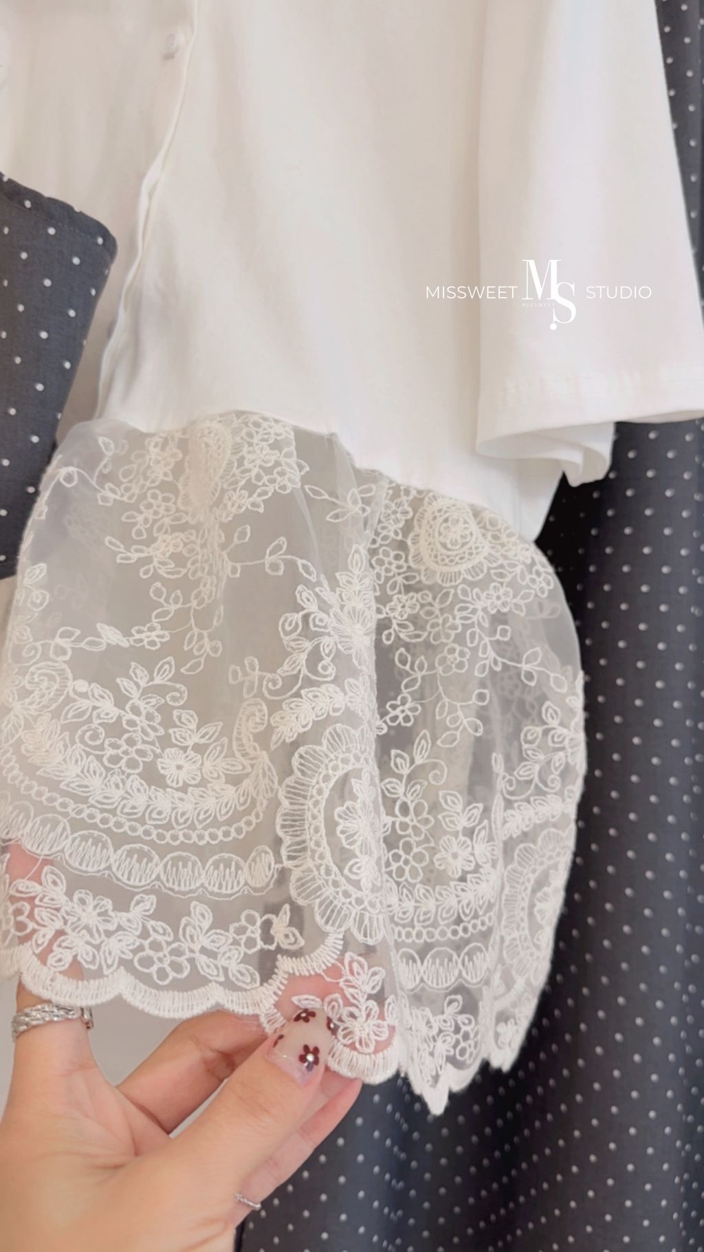 相片 2026-3-11 下午5 17 56