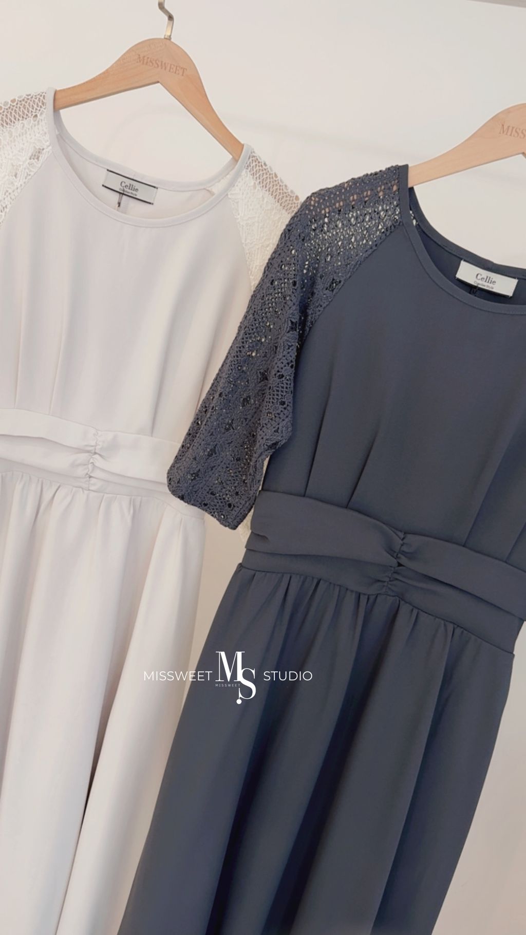 相片 2026-3-11 下午5 22 43